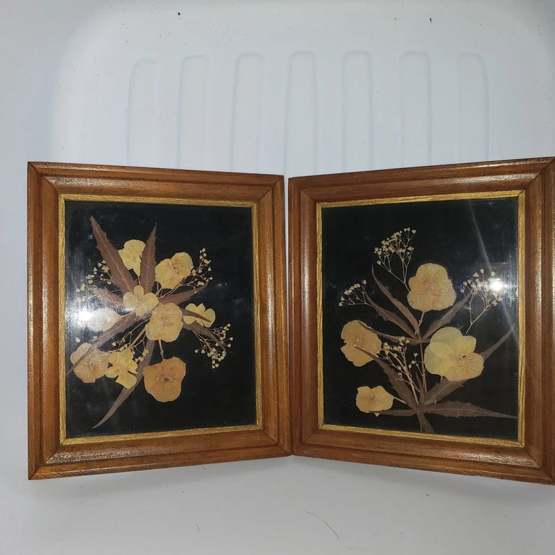 Pair of framed pressed flowers with pale yellow blooms, black backing, wood frames