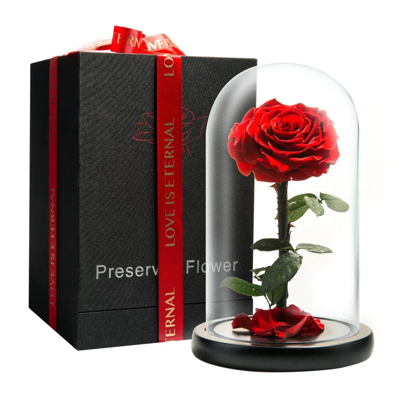 Preserved red rose under clear glass dome with black base, in gift box