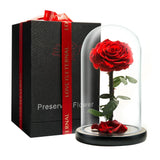 Preserved Rose in Glass Dome Eternal Enchanted Forever  - Infinity Rose  - Dried Flower