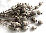 Dried Look Floral Stem Artificial Poppy Faux Stem Faux Flowers Brown Dried Flower