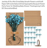 41pcs Mini Dried Baby Breath Flowers With Cards For Baby Shower Or Special... Dried Flower