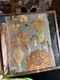 Rustic Vintage Glass Picture Decor With Dried Flowers Dried Flower