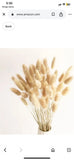 Dried Flowers,Rabbit Tail Natural Dried Flower Pampas Grass Bunch Pampas Grass