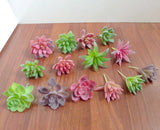 Set of 14 Artificial Flocking Mini Plants Home Garden Wedding Decoration Green Plant
