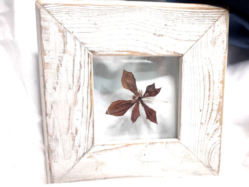 Whitewashed wood frame with pressed dried autumn flower, square display