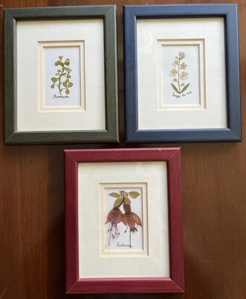 Set of 3 framed dried flower wall art with botanical prints in green, blue, and red frames