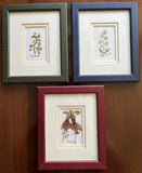 Set Of 3 Framed Breda Hayden Flowers of Ireland Shamrock Forget-Me-Not Fuchsia Dried Flower