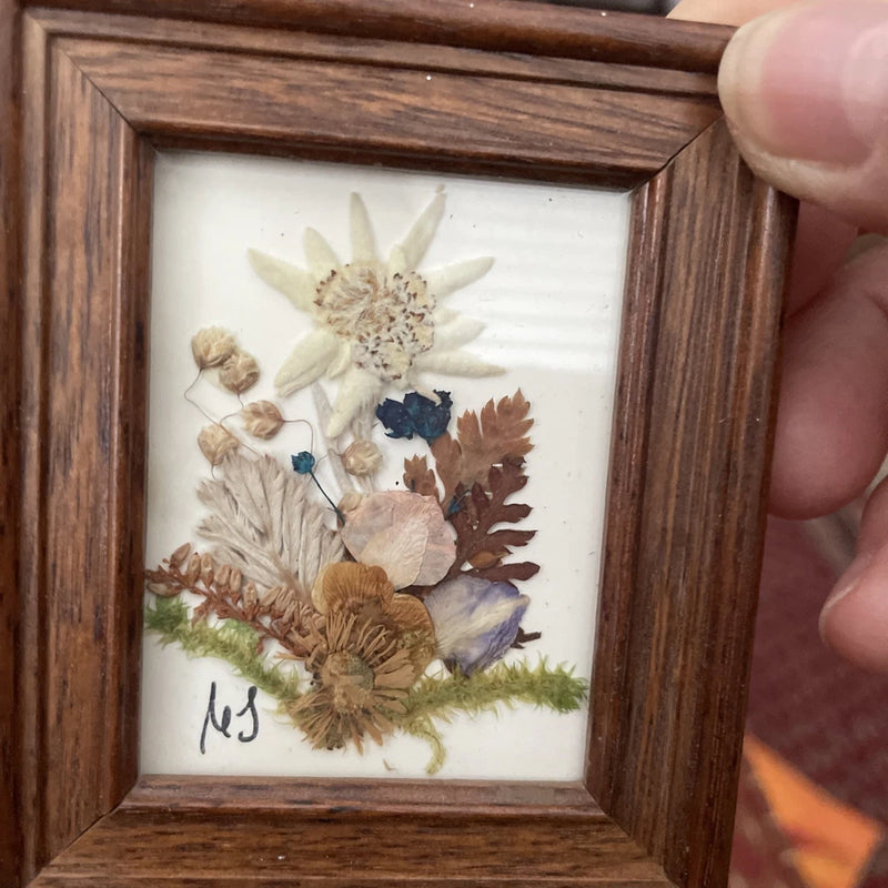 Small wooden-framed pressed flower artwork with mixed dried blooms and leaves