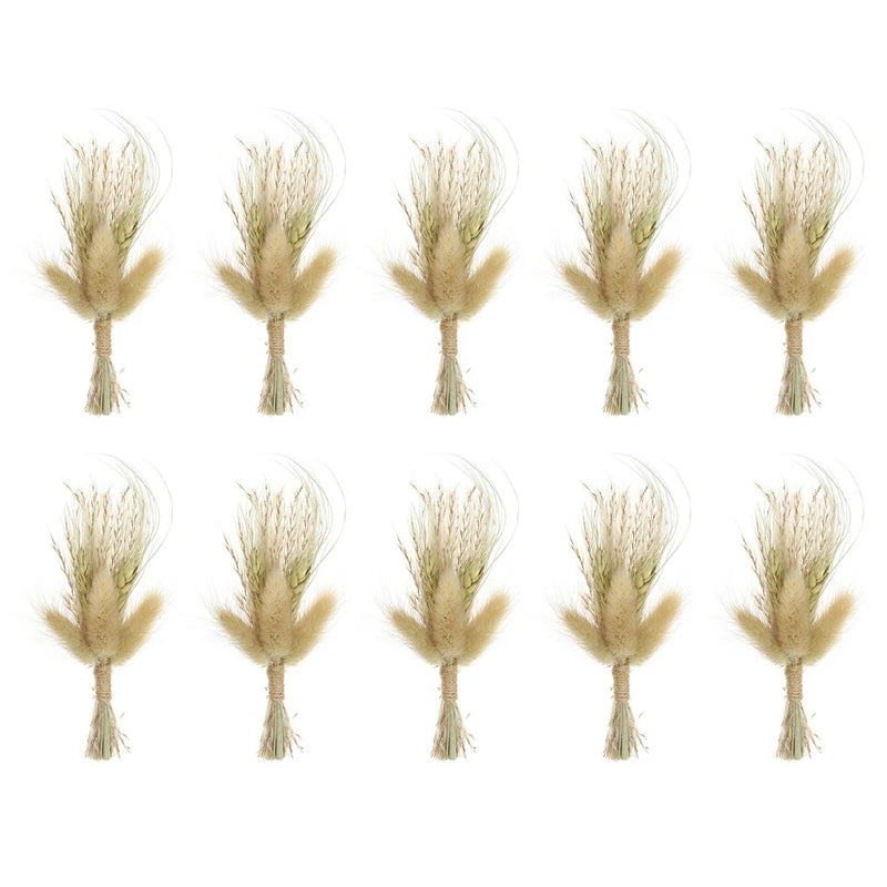 Set of 10 mini dried pampas grass bouquets with beige plumes and tied stems