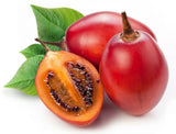 10+ Red Tamarillo Seeds ~Solanum becateum~ Cyphomandra becatea ~ Tree Tomato Flowering Plants