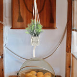 4 Pcs Garden Plant Display Indoor Planter Hangers Bohemian Wall Decor Garden Plants