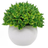 Small Sized Pine Needle Bonsai Artificial Plant 12cm for Shelf Desk Decor Green Plant