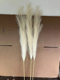 Faux Pampas Grass with 3 Large Artificial Pampas Grass Stems Ñ 45", 7 boxes of 3 Pampas Grass
