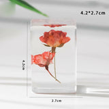 Rose Specimen Resin Decoration Home Office Teaching Dried Flower Paperweight New Dried Flower