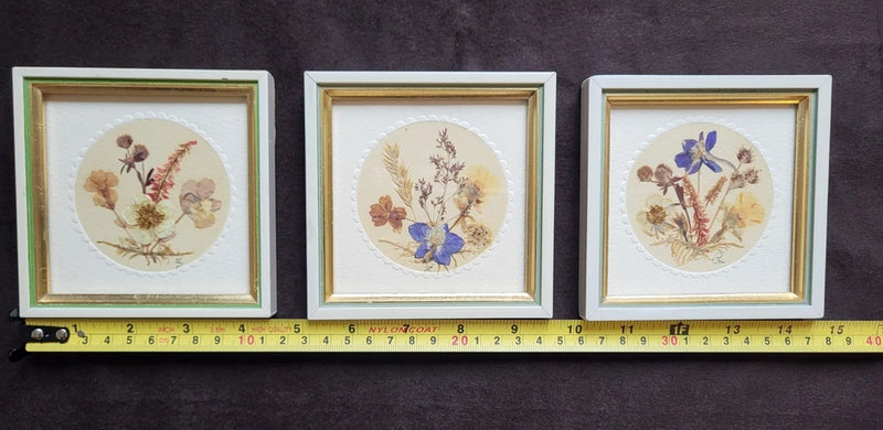 Set of three framed dried flower botanical prints, circular artwork with multicolor blooms.