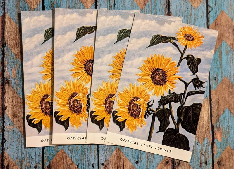 Vtg Kansas Official State Flower Postcards - Lot Of 4 Sunflower Robert R Sanders Sunflower