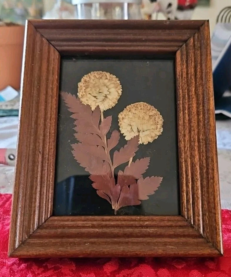 Wood-framed pressed dried flower art with pale round blooms and burgundy stems