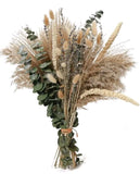 17" Dried Pampas Grass Decor Inc Lavender Eucalyptus Pampas Grass