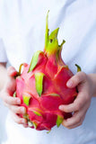DRAGON FRUIT (pitahaya) Plant cuttings, plant seeds rare dragon fruit US,to Orchids