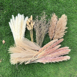100Pcs Pampas Grass Natural Dried Flowers Boho Home Wedding Farmhouse Decor Dried Flower