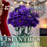 Ethos Blue Lisianthus Seeds - 125-5000 Seeds Flower Seed Non Gmo Heirloom Flowering Plants