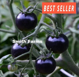 50+ Seeds EUROPEAN BLACK CHERRY Tomato Easy to Grow Vegetable Garden Planting Garden Plants