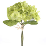 Set of 2 Soft Green 12-1/2" Hydrangea Bundles with Leafy Accent Hydrangea