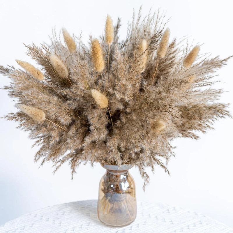 WILD AUTUMN Fluffy Boho Decor Dried Grass - White,beige,brown,natural Pampas Grass