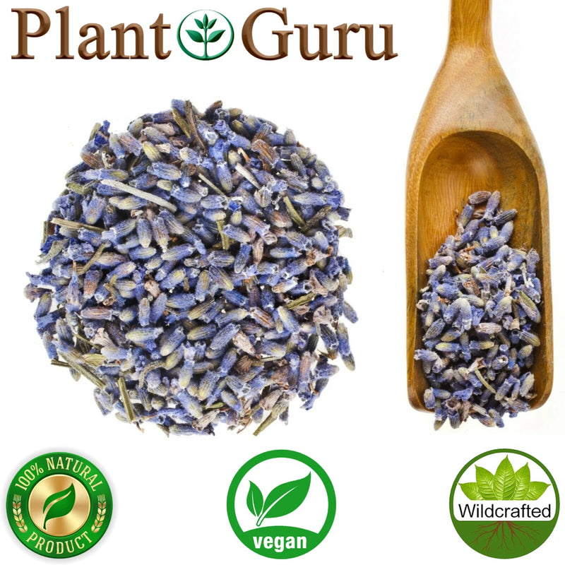 Lavender Flower Buds Dried Fresh Bulk Wholesale Lavandula Angustifolia Dried Flower