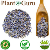 Lavender Flower Buds Dried Fresh Bulk Wholesale Lavandula Angustifolia Dried Flower