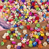 300 PCS Small Dried Flowers for Crafts - Mini 300Pcs, Colorful Dried Flower