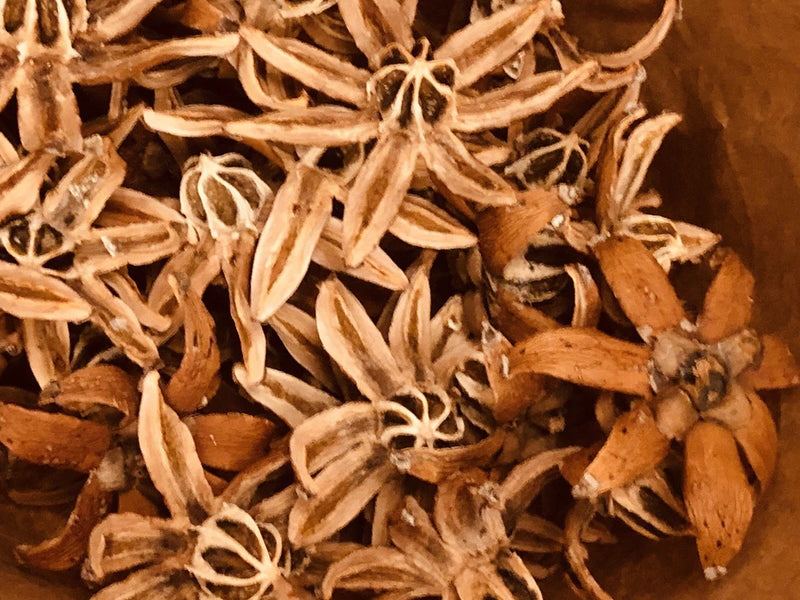 Dried wood pod flowers for decor, small tan and brown dried pods and petals