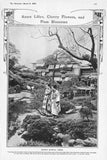 JAPAN Magical Trees; Azure Lilies, Cherry Flowers, Blossoms Antique Print 1909 Lily