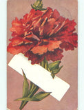 Pre-Linen BEAUTIFUL RED CARNATION FLOWER : make an offer k4589 Carnation