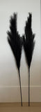 Set Of 2 Black Faux Pampas Grass Long Stem-Modern Elegant Home Decor24-30Ó Long Pampas Grass