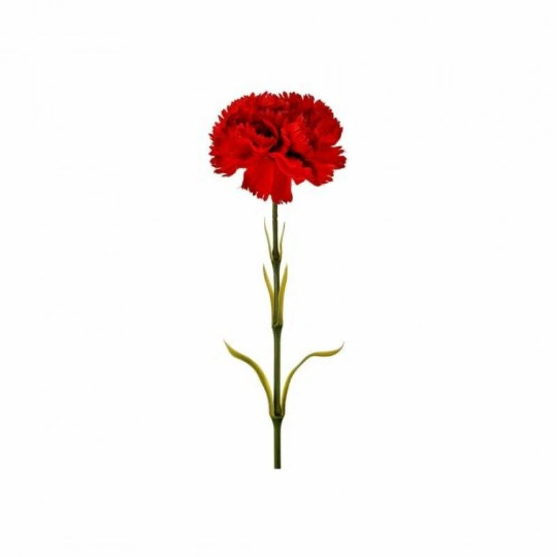 Red Carnation Stem Artificial Flower Carnation