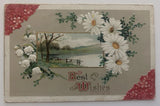 1911 Embossed Postcard Best Wishes Daisies Lily of the Valley Flowers Scenic Lily