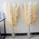 Bannifll 46" inch 10 Stems Natural Pampas Grass Decor Tall, pompas Grass, Tall Pampas Grass