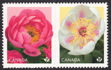 2025 Canada SC# - Peonies - Semi-Double Flower - Pair - from booklet - M-NH Peony
