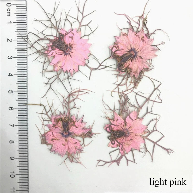 12-piece set of light pink dried flowers with thin stems for crafts