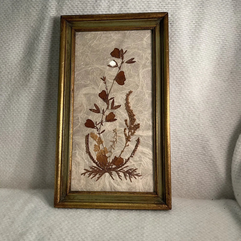 Framed pressed dried flower wall art with brown botanical stems on light background