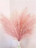 Decoroca Pampas Grass Set - 5 Pcs Faux-Pampas-Grass - 40''/3.3 Ft Tall Non-Sh... Pampas Grass