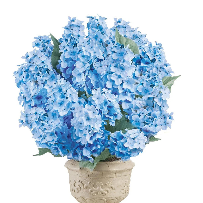 Cone Hydrangea Bush Set Of 3 Hydrangea