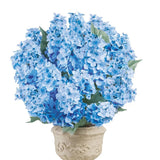 Cone Hydrangea Bush Set Of 3 Hydrangea