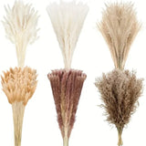 325 Pcs Dried Pampas Grass Decor 17 Inch Dried Boho Flowers MLL117926 Pampas Grass