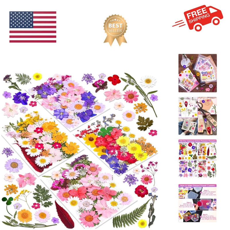 Assorted pressed dried flowers and leaves for resin, bulk variety of colorful petals