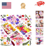 140 Pcs Dried Pressed Flowers for Resin, Real Pressed Flowers Dry Leaves Bulk... Dried Flower
