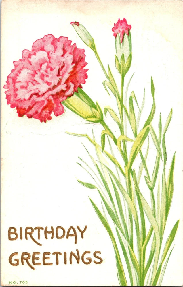 Vintage F.A. Owen Embossed Postcard Birthday Greetings Carnation Flowers 1913 Carnation