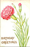 Vintage F.A. Owen Embossed Postcard Birthday Greetings Carnation Flowers 1913 Carnation