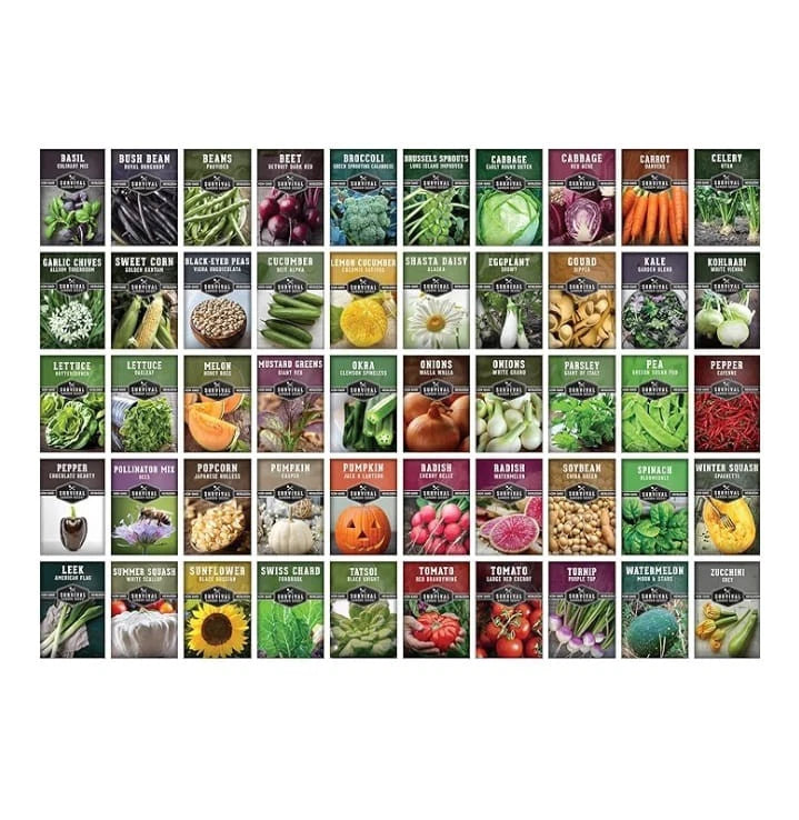 Homesteader Vault 50 Packs Non-GMO Heirloom Vegetable Fruit Herb WE SHIP OVERSEA Garden Plants
